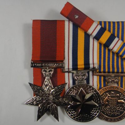 Star of Courage, National Police Service Medals, National Medal