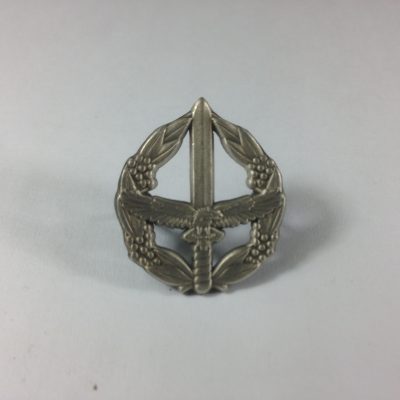 Air Force Combat Badge