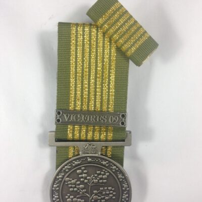 National Emergency Medal (clasp to order)